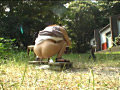 画像0024