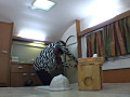 画像0167