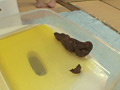 画像0137