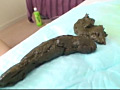 画像0255