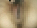 画像0127
