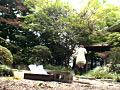 画像0102