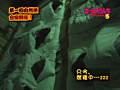 画像0047