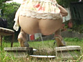 画像0447