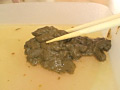 画像0158
