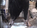 画像0110