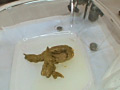 画像0328