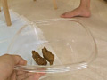 画像0353