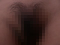 Digest Image 36
