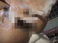 画像0052