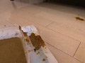 画像0055