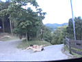 画像0024
