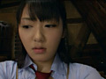 Digest Image 41