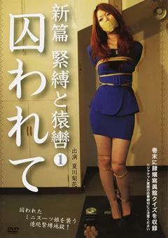 新篇 緊縛と猿轡1 囚われて