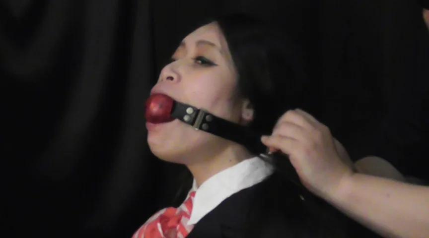 畠中奈美江 ‐囚われたCA‐ 全篇