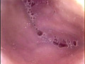 Digest Image 45