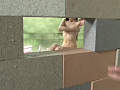 Digest Image 18
