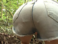画像0241