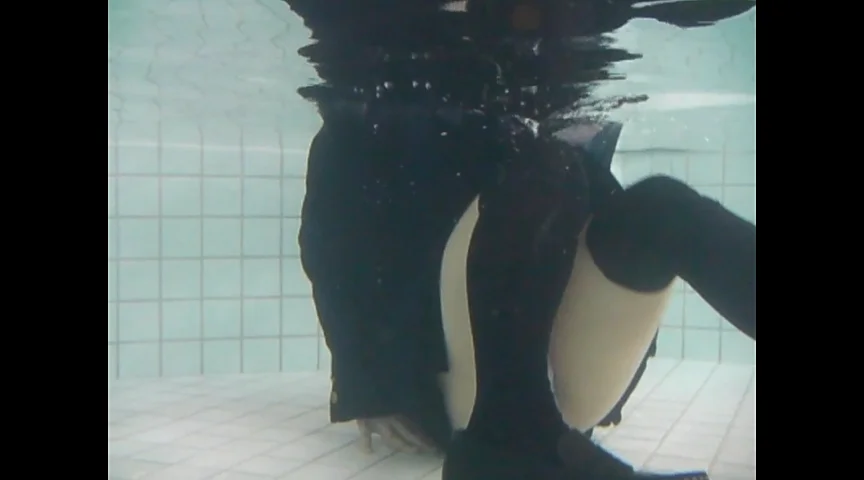 大好きなプールに癒されて