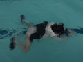 冬服潜水競技 サンプル画像2