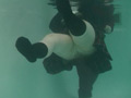 [sandw-0132] 着衣水泳探求のキャプチャ画像 2