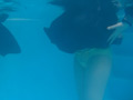 合宿後の特別講習のサンプル画像2