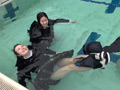 サバイバル水泳活用編 画像3