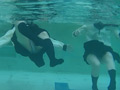 三つ巴の水中遊泳 5