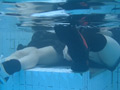 [sandw-0302] 里帰りと無二の親友のキャプチャ画像 3