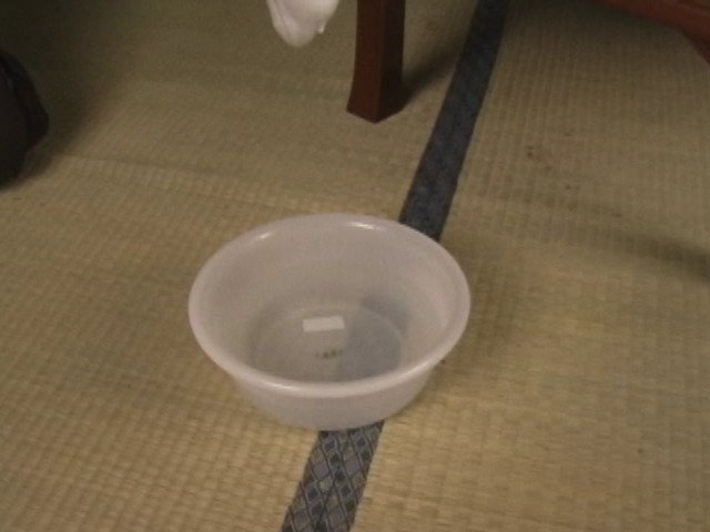 【sanwa-0085】特別調○処置 第一章の見所画像11