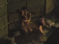 [scf-0012] 盗撮～露天風呂のキャプチャ画像 9