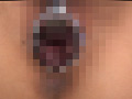 画像0148