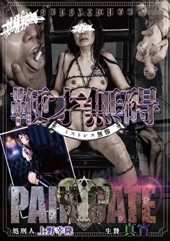PAIN GATE  鞭才無碍