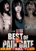 DDSC-055 BEST OF PAIN GATE 贄