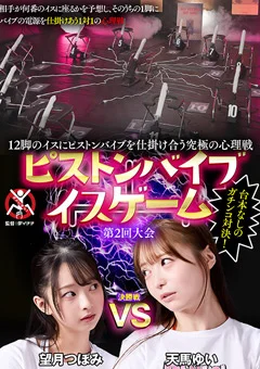 ピストンバイブイスゲーム 第2回大会 決勝戦