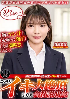 こっそりイキまくり!大絶頂会社説明会 佐藤愛瑠編