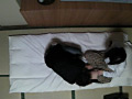 画像0069