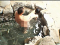 画像0051