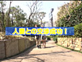 画像0082