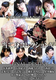 当て身コレクション5 FINAL DESTINY