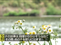 画像0052