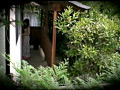 画像0033