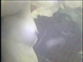 画像0081