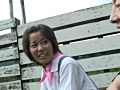 Digest Image 22