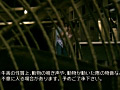 画像0051