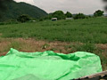 画像0082