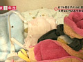 画像0149