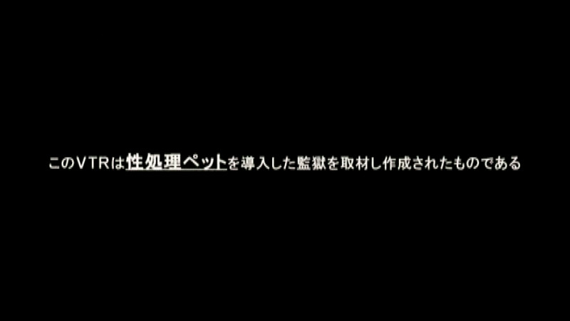 囚人専用・性処理ペット