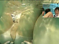 画像0047