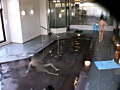 画像0040